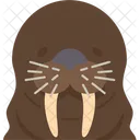 Walrus Face  Icon