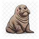 Walrus Animal Mammal Icon