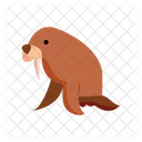Walrus Marine Animal Pinniped Icon