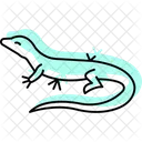 Waran Symbol