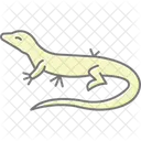 Waran Waran Reptil Symbol