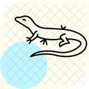 Waran Waran Reptil Symbol
