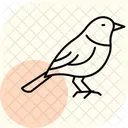ウグイス、鳥、小型 アイコン
