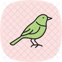 ウグイス、鳥、小型 アイコン