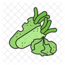 Wasabi  Icon