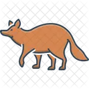 Waschbar Allesfresser Natur Symbol