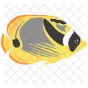 Waschbar Falterfisch Meerestier Tier Symbol