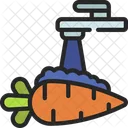 Wash Carrot Wash Carrot Icon