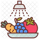 Wash Foods Hygienic Food Food Safety Icon