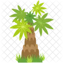 Washington palm tree  Icon