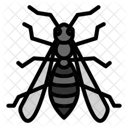 Wasp  Icon