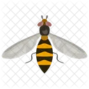Wasp Insect Flying Insect Icon