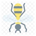 Wasp Insect Bug Icon