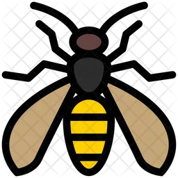 Wasp  Icon