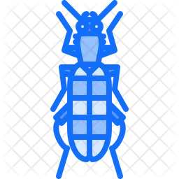 Wasp  Icon