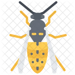 Wasp  Icon