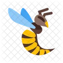 Wasp Insect Bee Icon