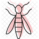 Wasp Insect Sting Icon
