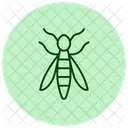 Wasp Insect Sting Icon