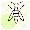 Wasp Insect Sting Icon