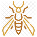 Survival Aggression Insects Icon