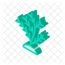 Wasser Koralle Isometrisch Icon