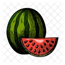 Wassermelone Melone Gattung Icon