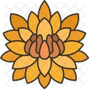 Water Lily Flower Icon