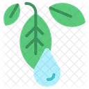 Eco Ecology Friendly Icon