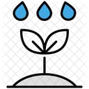 Water Icon