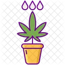Water Plat Pot Icon