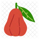 Fruit Fruits Vegetables Icon