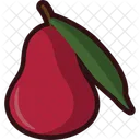 Jambu Air Icon