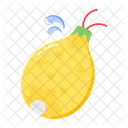 Water balloon  Icon