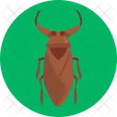 Water Bug Bug Insect Icon