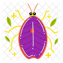 Water Bug  Icon