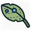 Water Droplets In Leaf  Icon