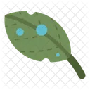 Water Droplets In Leaf  Icon