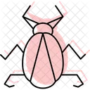 Water Insect Strider Icon