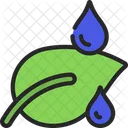 Water  Icon