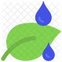 Water  Icon