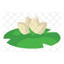 Foliage And Floral Water Lily Leaves Icon