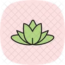 Water Lily Farm Icon