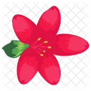 Water Lily Lotus Seasonal Flower Icon