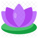 Water Lily Flower Floweret Icon
