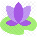 Water Lily Lotus Flower Pond Icon