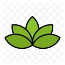 Flower Blossom Indian Lotus Icon