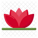 Water Lily Egyptian Bean Flower アイコン