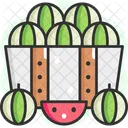 Water Melon  Icon