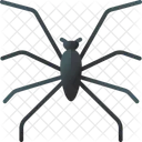 Water Spider Water Animal Icon